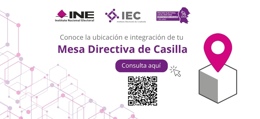 Banner: Observador electoral