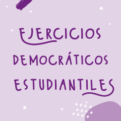 Ejercicios democráticos Estudiantiles preview