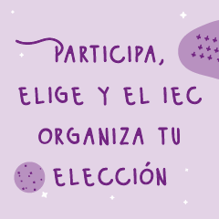 Participa,elige y el IEC organiza tu elección preview