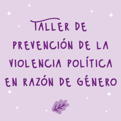 Taller de prevención de la violencia política en razón de género preview